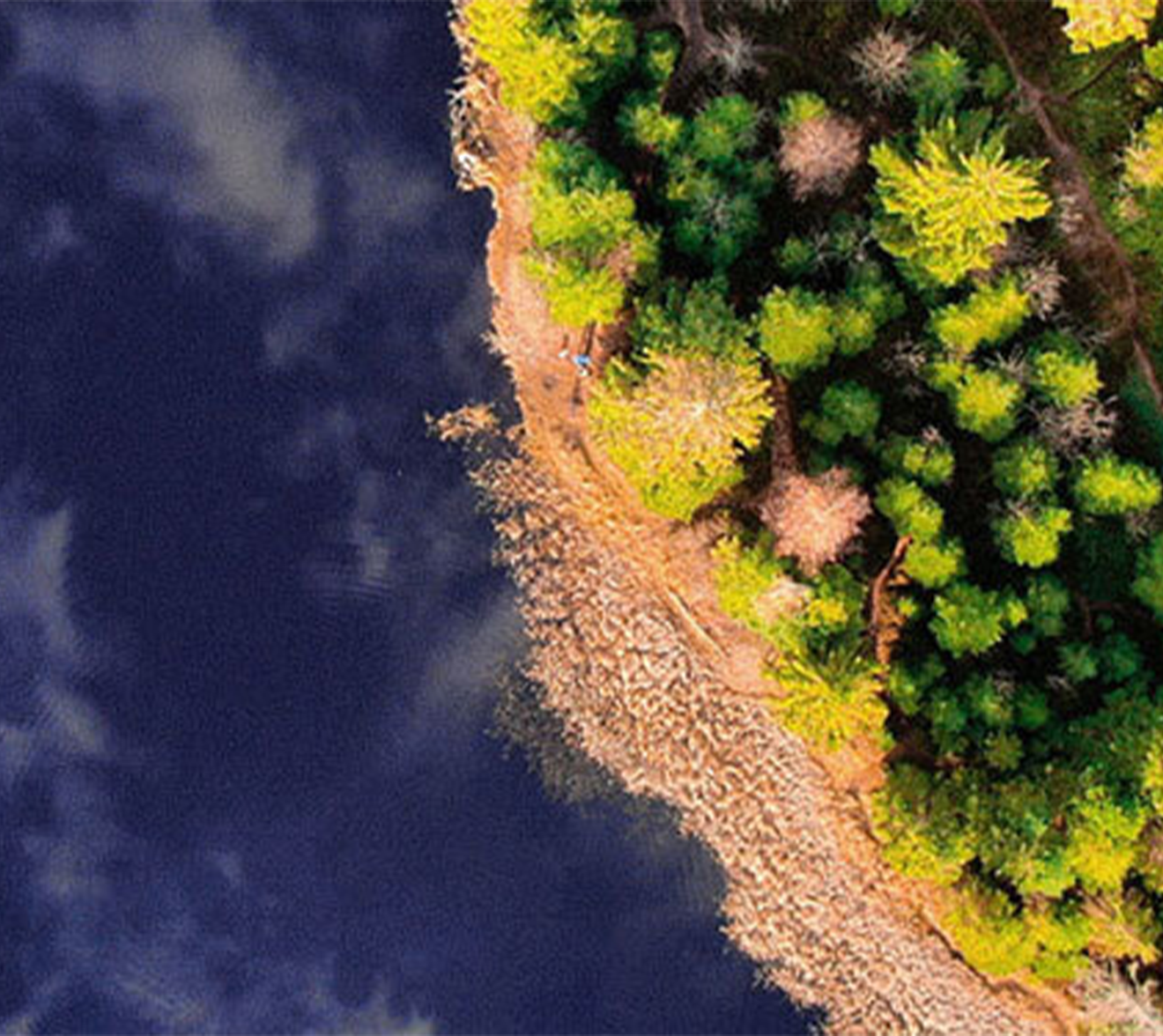 Young Surveyors Home Banner